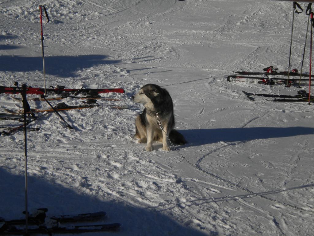 Rifugio Baita Belvedere Champoluc Eksteriør billede